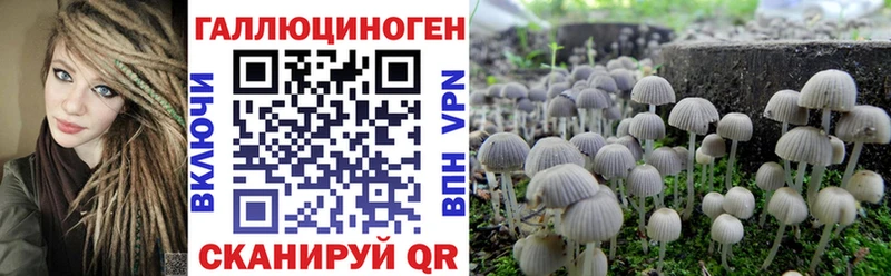 Псилоцибиновые грибы мицелий  Купить закладки  Красновишерск 